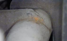 KAWASAKI ZRX-2 1995 ZR400E