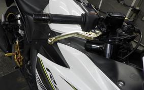 YAMAHA YZF-R25 2025 RG10J