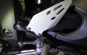 KAWASAKI NINJA ZX-6R A 2025 ZX636J