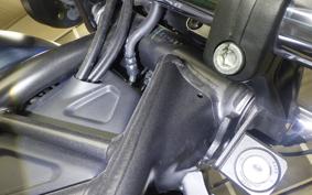 HONDA REBEL 250 2022 MC49