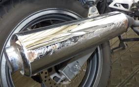 KAWASAKI ZZ-R250 EX250H