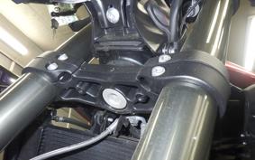 TRIUMPH STREET TRIPLE RS 2025