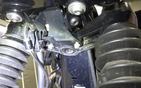 KAWASAKI W800 CAFE 2021 EJ800B