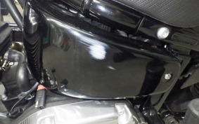 HARLEY FXBB1920 2025