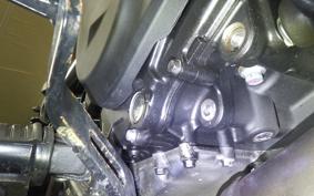 KAWASAKI ELIMINATOR400-3SE 2024 EL400A