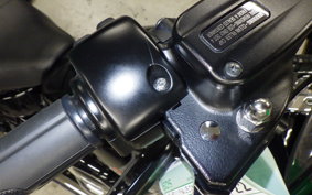 HARLEY FLSB 1750 2022