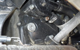 YAMAHA MAXAM 250 2014 SG21J