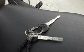 HONDA REBEL 250 MC49