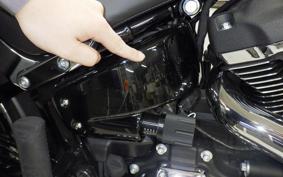 HARLEY FLSB 1750 2025