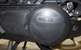 YAMAHA N-MAX 2009 SEG6J