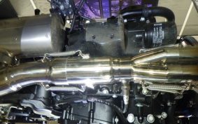 KAWASAKI Z900RS CAFE 2025 ZR900K