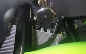 KAWASAKI ZX-4RR 2024 ZX400P