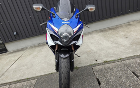 SUZUKI GSX-R1000 2007 GT77A