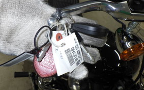 HARLEY FXST1750 2025