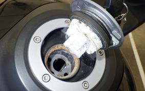 YAMAHA YZF-R25 RG43J