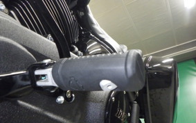 HARLEY FXLRST1920 2023