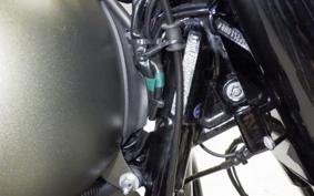 HARLEY FLSS 1800 2017