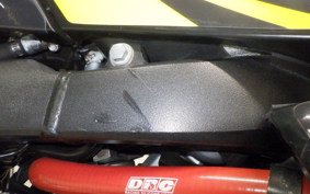 YAMAHA WR250X DG15J