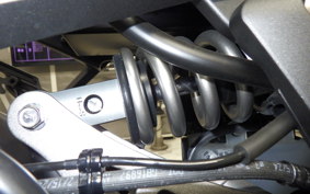 KAWASAKI NINJA 1000 SX 2025