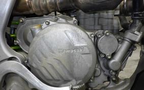 KAWASAKI KX250 2024 KX252C