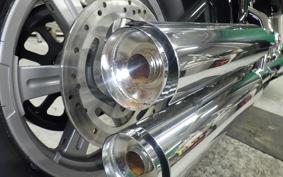 HARLEY FXST1750 2025