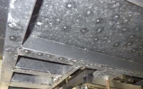 OTHER +UNREGISTERED MODEL by BDS125 TRIKE 2020