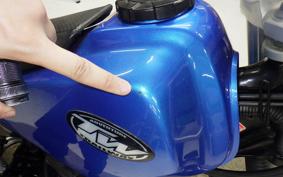 YAMAHA TW200 Gen.2 2007 DG07J