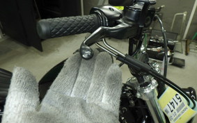 HARLEY XL883LI 2009