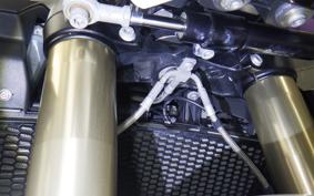 BMW S1000R M PACKAGE 2021