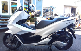 HONDA PCX125 JF81