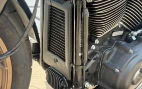 HARLEY FXLRST 2024 YXZ