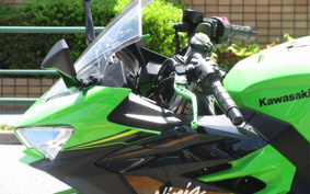 KAWASAKI NINJA 250 EX250P