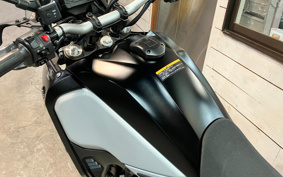 YAMAHA TENERE 700 2021 DM09J