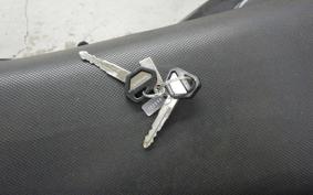 KAWASAKI KLX250D TRACKER X 2022 LX250V