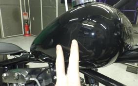 OTHER +UNREGISTERED MODEL by BDS1200 2026