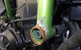 KAWASAKI Z650 A 2022 ER650H