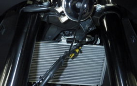 YAMAHA YZF-R3 2025 RH21J