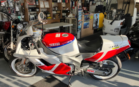 YAMAHA FZR1000 1991 3GM