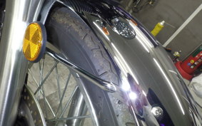 KAWASAKI W800 2022 EJ800E