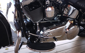 HARLEY FLSTC 2010 BW5