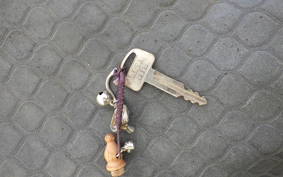 HONDA STANDUP TACT AF24