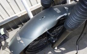 OTHER +ﾏｯﾄﾓｰﾀｰｻｲｸﾙ250