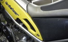 YAMAHA TRICKER DG10J