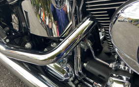 HARLEY FLSTC 2013 BW5