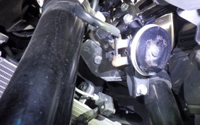 YAMAHA YZF-R25 A 2024 RG43J