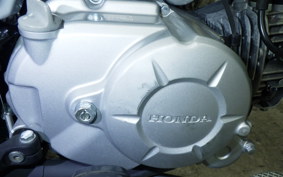 HONDA ｸﾛｽｶﾌﾞ50 AA06