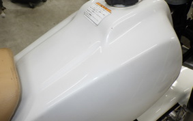 YAMAHA TW225 2021 DG09J