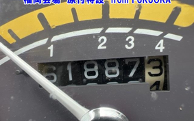 OTHER  LITTLE CUB E FI