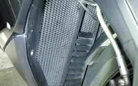 BMW K1300S 2010