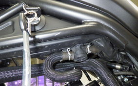 HONDA REBEL 250 S 2024 MC49